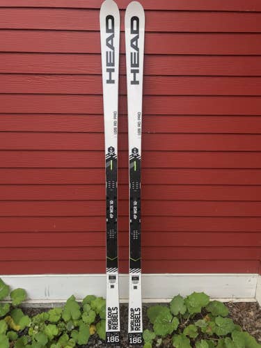 Great Condition Used 2019 HEAD 186cm GS Skis Without Bindings