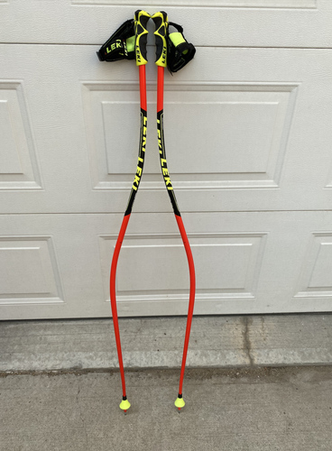 As new Leki WC SG poles