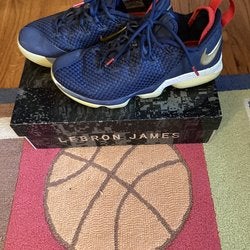 Lebron XIV Basketball Shoes Size 10