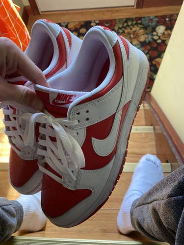 Size 8.5 Nike SB dunk Shoes