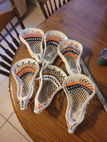 6 Different Warrior Evolution Heads