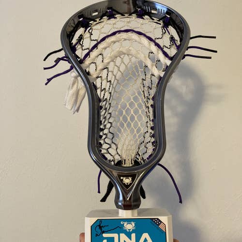 New Strung DNA Head