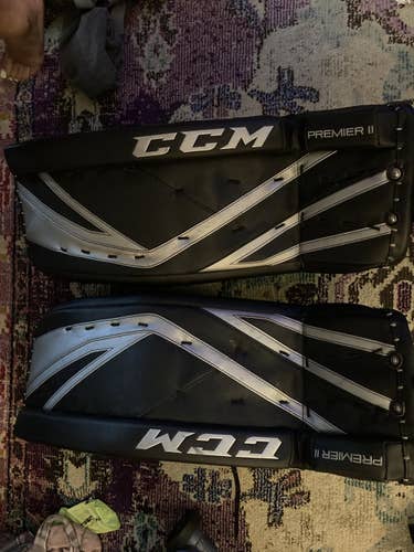 CCM 29+1 intermediate set black/silver custom