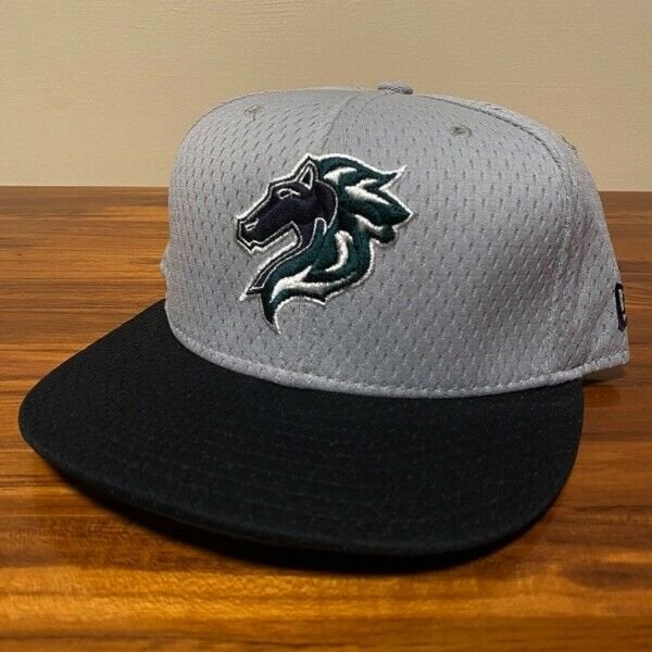 Charlotte Knights Hat Baseball Cap 