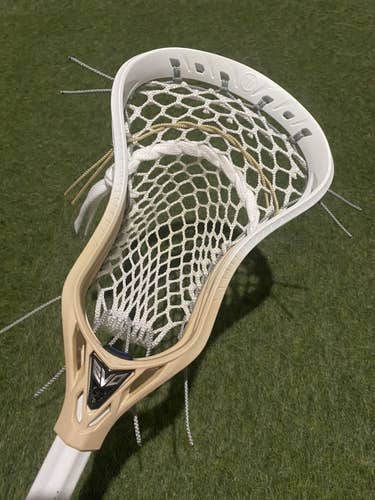 New Warrior Evo 5 Head