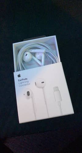 Used Apple earbuds