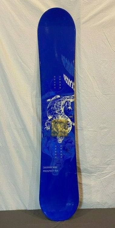 salomon prospect ltd