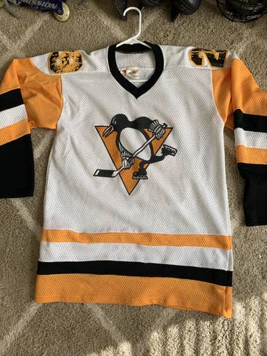 Mesh Pittsburgh Penguin jersey Bourque has some stain on it size is medium