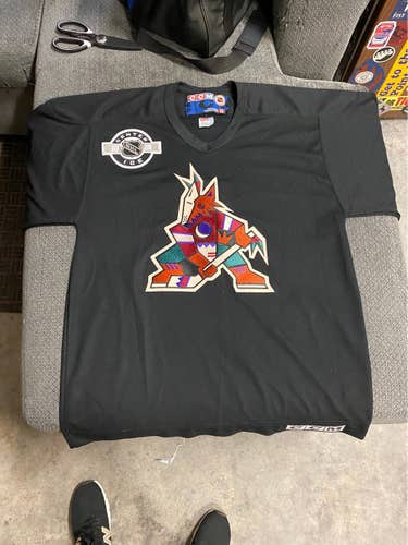 Arizona Coyotes Retro Kachina Jersey