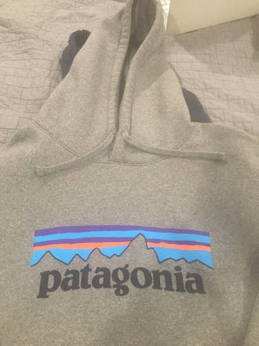 Gray New Large Patagonia Sweatshirt