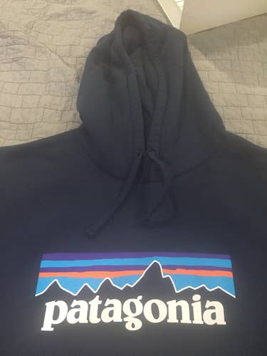 Blue Men's Large Patagonia Sweatshirt
