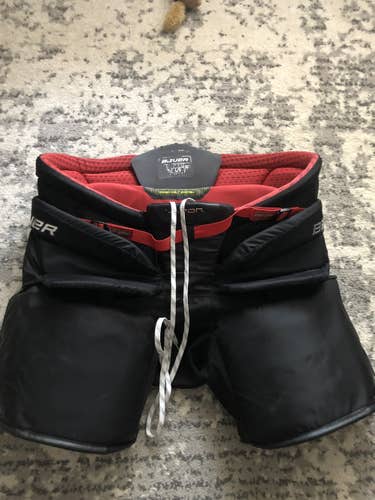 Bauer Vapor 2X Pro Goalie Pants (Black - Senior Large)