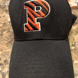 Princeton tigers hat