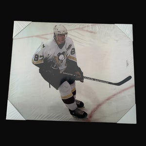 Crosby Rookie Picture 20x16 - New in plastic