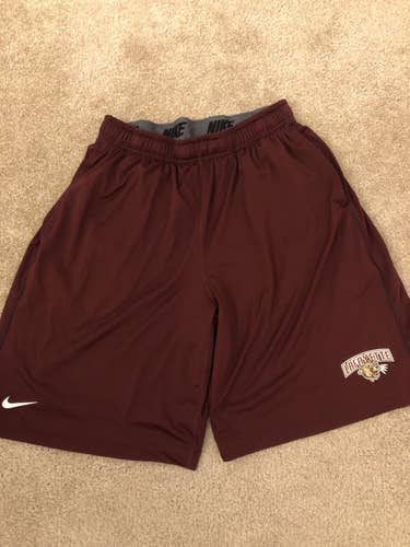 Lafayette lacrosse Nike shorts