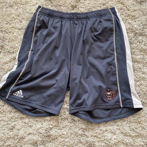 Gray Missouri State Baseball Shorts (L)