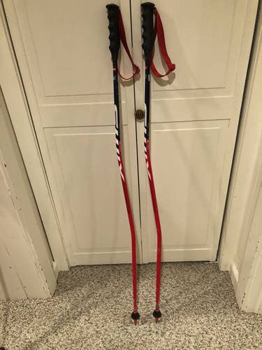 Swix GS Ski Poles-120 cm