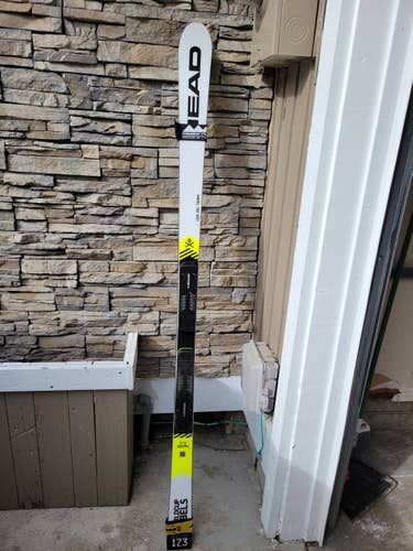 Used 173cm 2019 HEAD Racing World Cup Rebels i.GS RD Skis Without Bindings