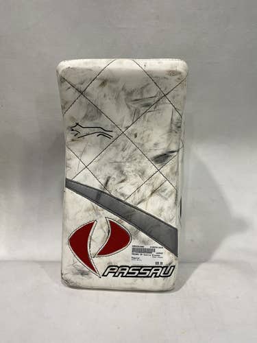 Used Passau Goalie Glove and Blocker