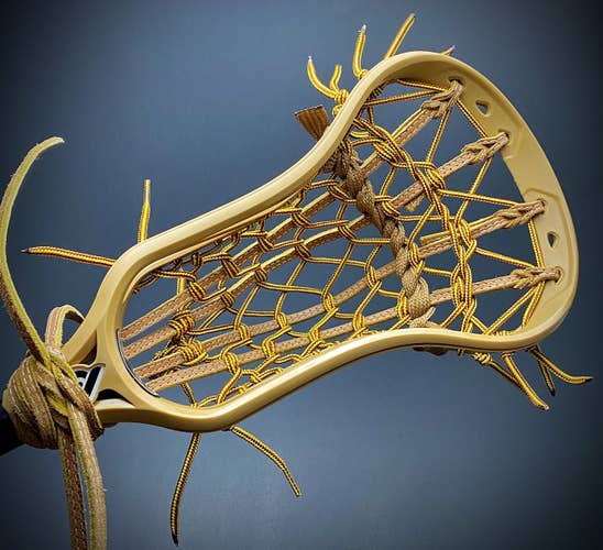 New Powell Pioneer 2