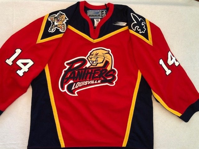 Panthers Unveil 3rd Jersey! —