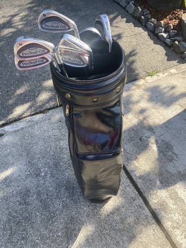 Vintage Wilson bag and pro OS iron set