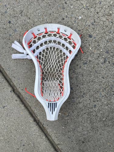 White Strung Hzrdus Head