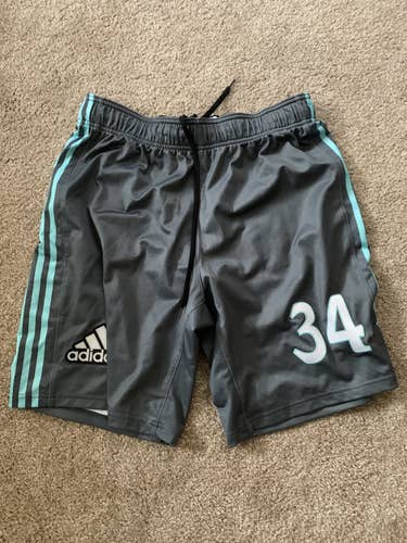 Official Game Worn PLL Shorts Worn By #34 Ryan Terefenko
