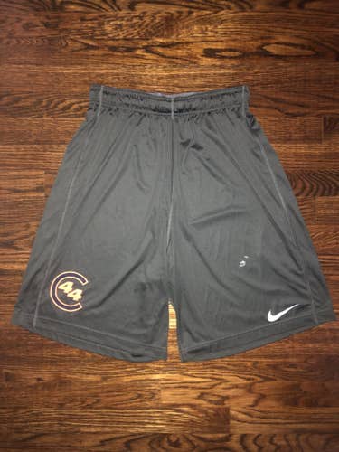 **RARE** Nike Lacrosse C44 Shorts - Size Large