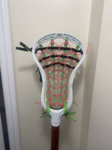 BN Stx Stallion Omega Head