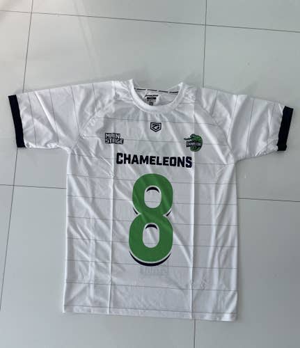 New Main Stage chameleons shirt