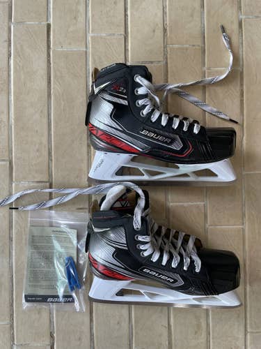 8D Vapor X2.9 Goalie Skates