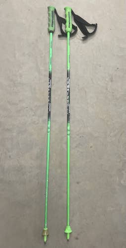 National Team Carbon GS Ski Poles - Straight