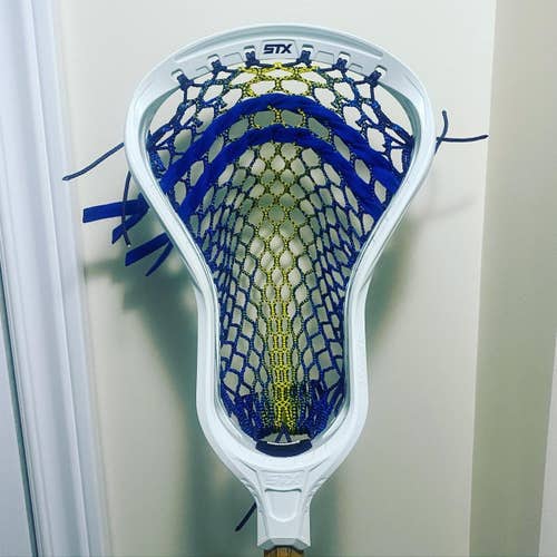 BN Stx Hammer Omega Head
