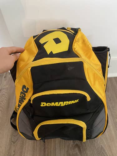 New DeMarini Baseball Bag