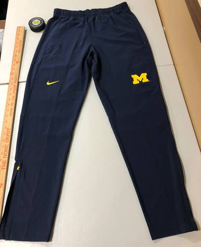 University Of Michigan Nike Pants