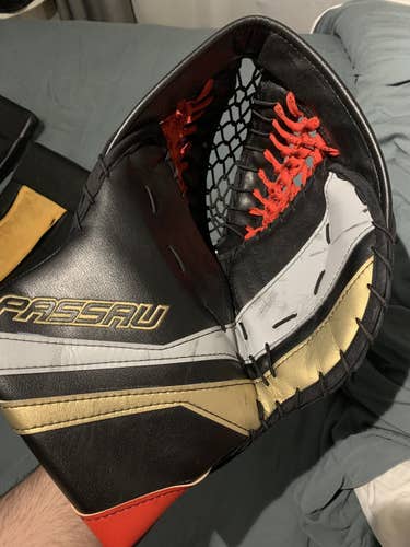 Passau pro gloves
