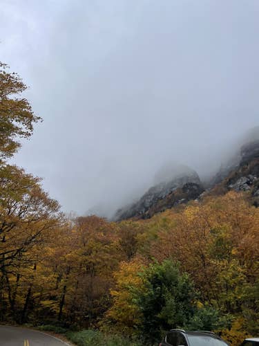 TEST TEST Lacrosse footwear Test