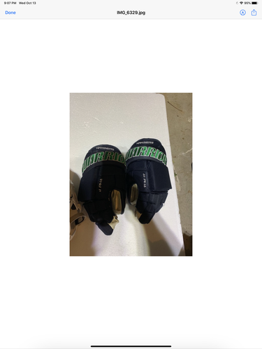 Used Senior Warrior Alpha DX Pro Gloves 14"