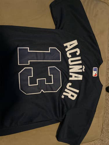 Blue Used Large Majestic Jersey