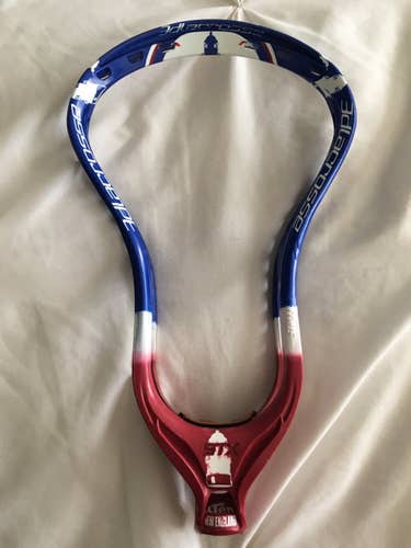 3d New England dyed STX Stallion head