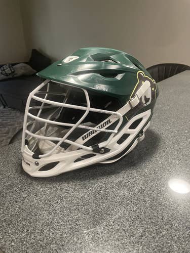 2021 *ROB PANNEL* GAME USED HELMET