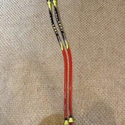 Used 48in (120cm) Racing World Cup - GS Ski Poles