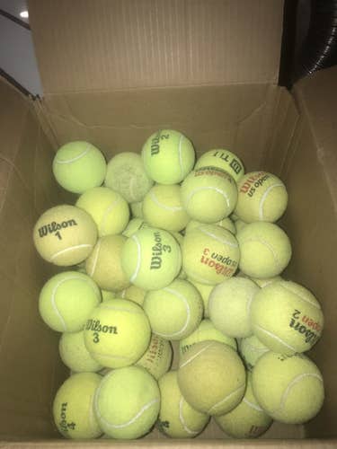 25 Assorted Used Wilson Tennis Balls