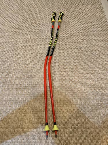 Used 44in (110cm) Racing World Cup Lite GS Ski Poles
