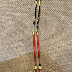 Used 40in (100cm) Racing World Cup Lite GS Ski Poles