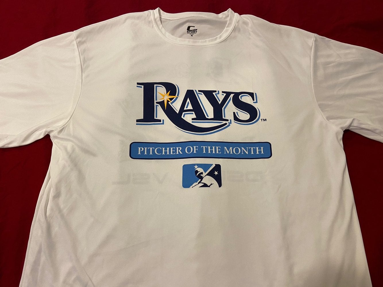 Tampa Bay Rays MLB Baseball Gray Adult XL Majestic T-Shirt