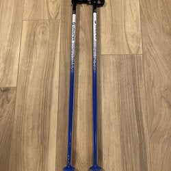 Salomon poles 38”