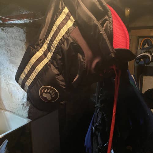 Hershey Bears XL CCM Pro Stock Hockey Pants