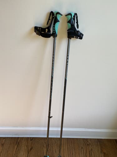 Used 48in (120cm) Leki Balance All Mountain Ski Poles
